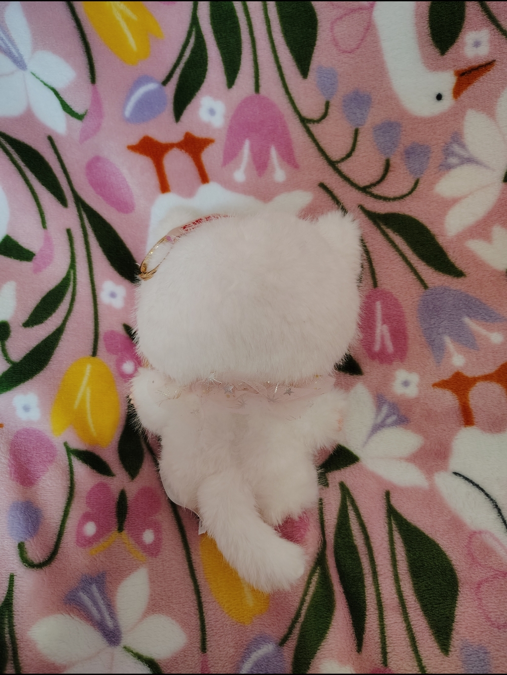 Baby Three Whose Cat Am I?- White With Pink - Picture 2 of 3